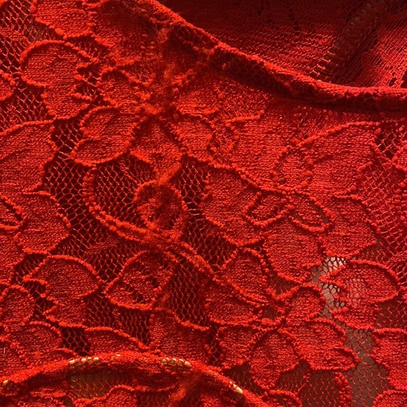 Express Open Back Red Lace Dress in XS - Picture 2 of 4